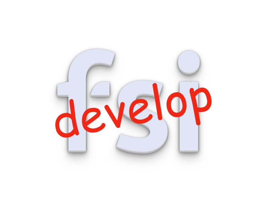 fsi-develop.1687852687.png